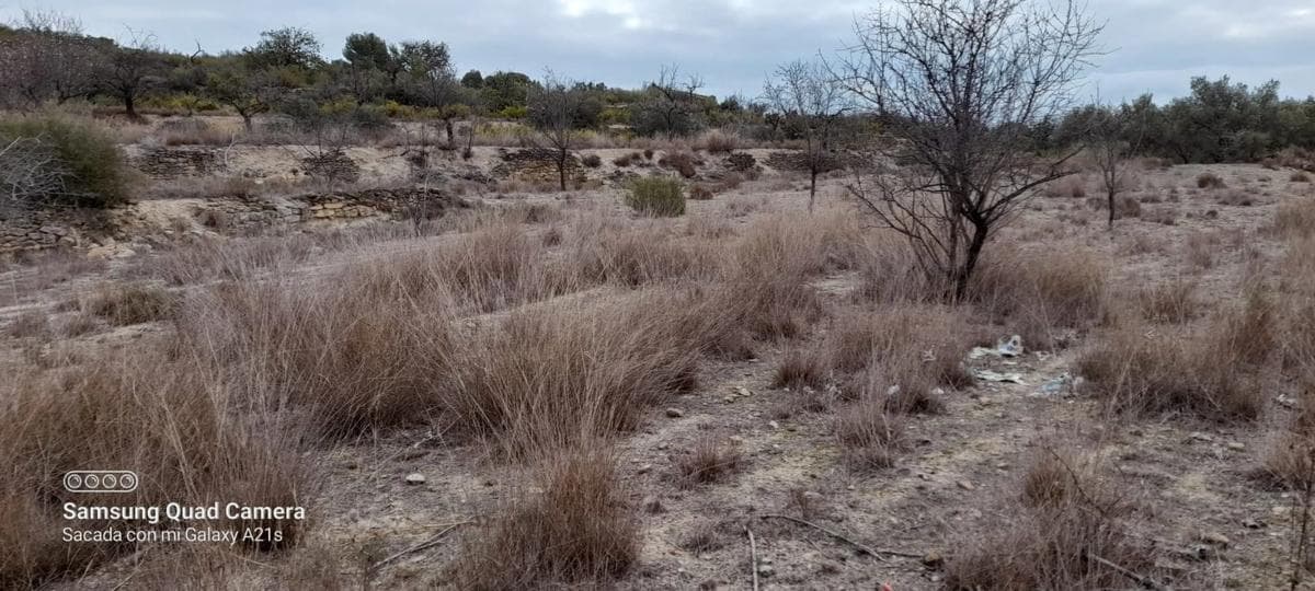 Terreno en venta en Casinos, Valencia photo 4