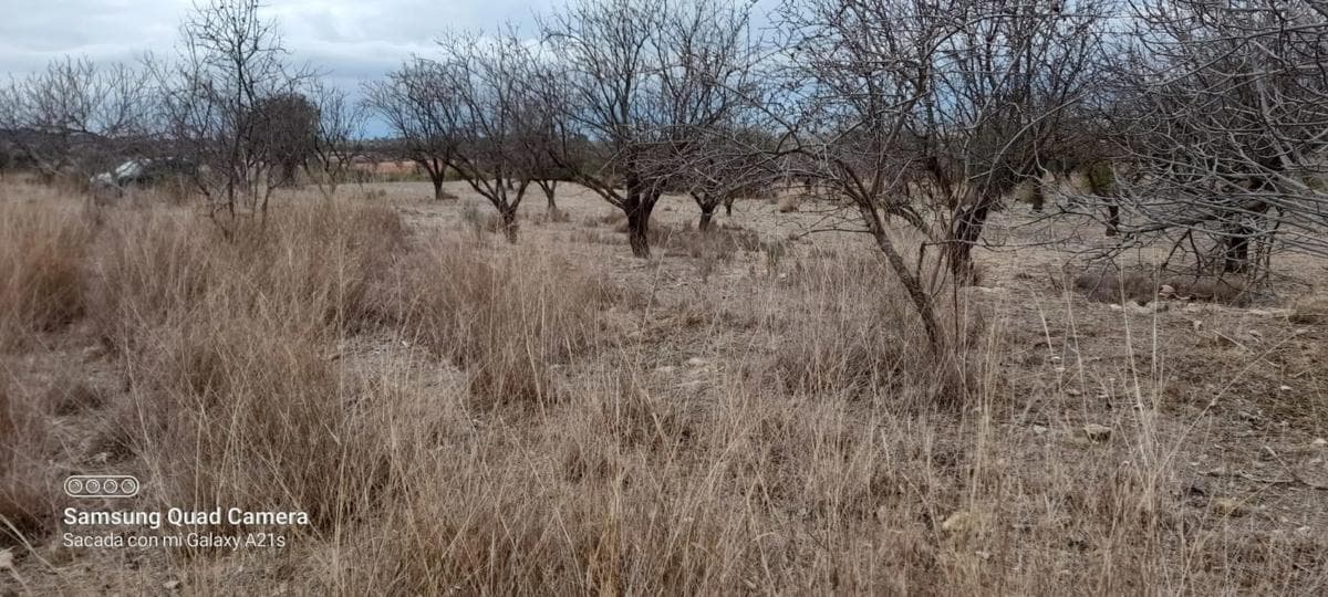 Terreno en venta en Casinos, Valencia photo 5