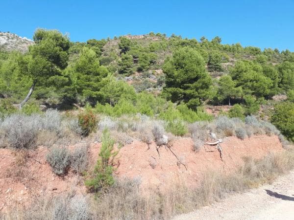 Product photo 1