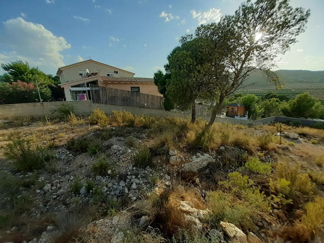 Terreno en venta en Casinos, Valencia photo 4