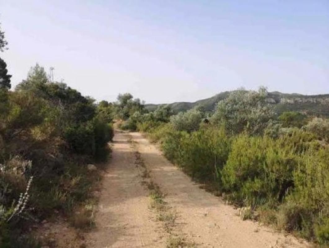 Terreno en venta en Jalance, Valencia photo 5