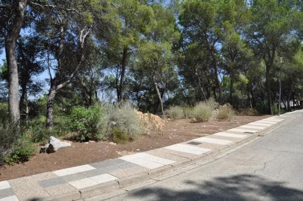 Terreno en Urbanización El Bosque, 19 thumbnail 1