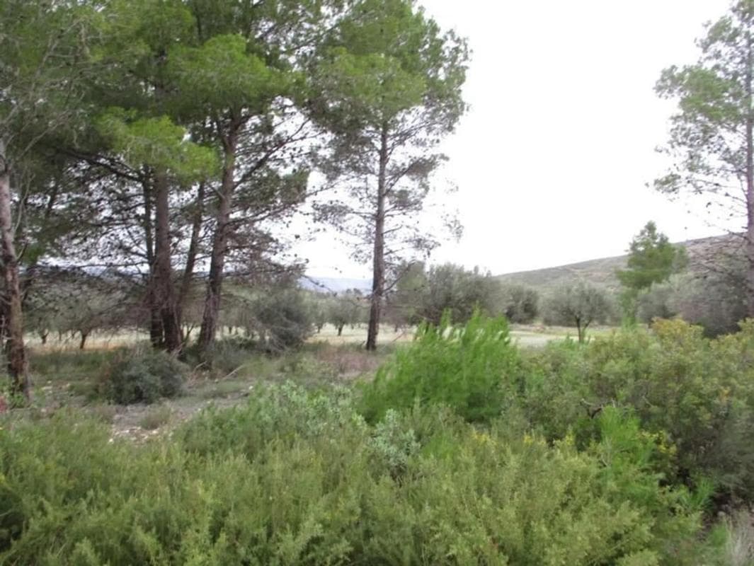 Terreno en venta en Macastre, Valencia photo 2
