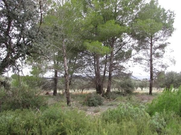 Terreno en Urbanització Llanorel 11 thumbnail 2