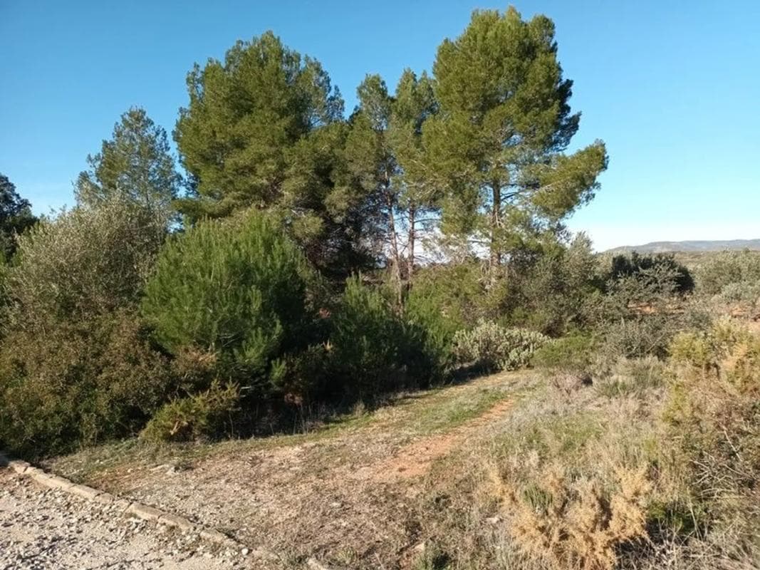 Terreno en venta en Macastre, Valencia photo 4