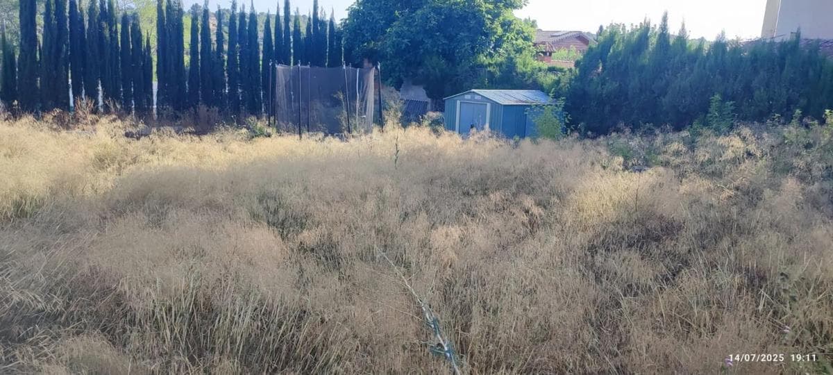Terreno en venta en Godelleta, Valencia photo 5