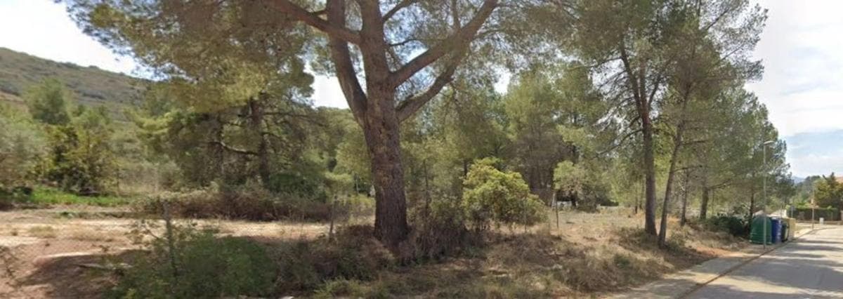 Land for sale in Macastre, Valencia photo 2