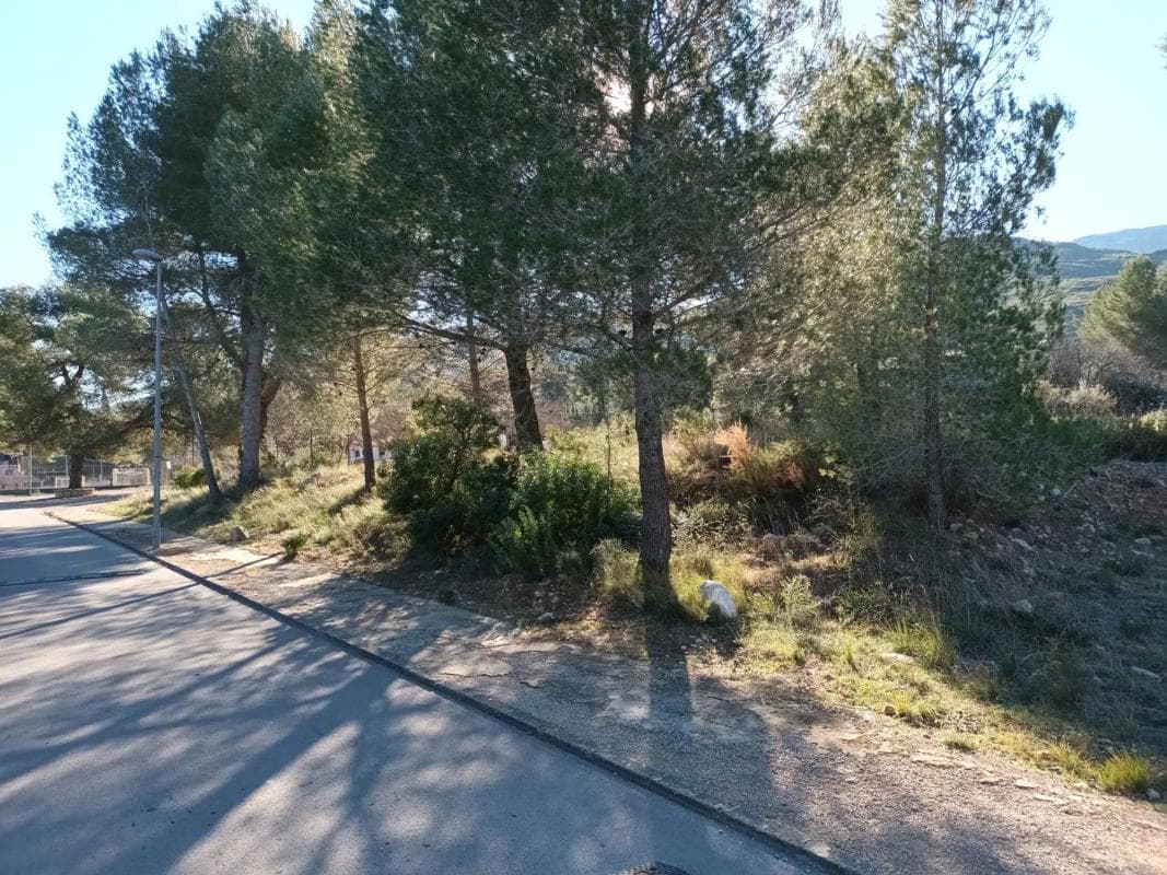 Land for sale in Macastre, Valencia photo 5