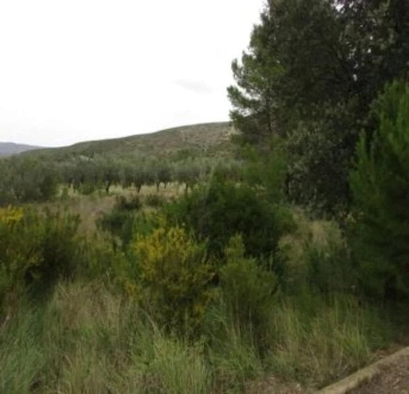 Terreno en venta en Macastre, Valencia photo 2