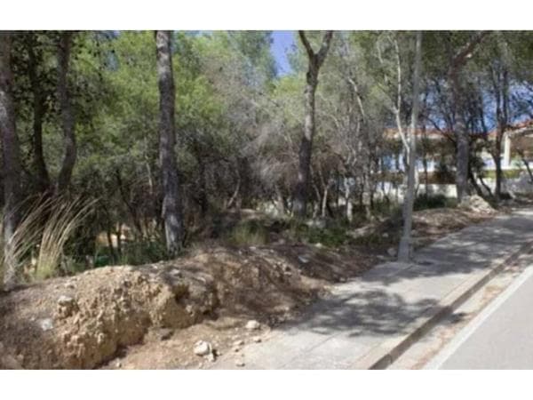 Terreno en calle 17 photo 4