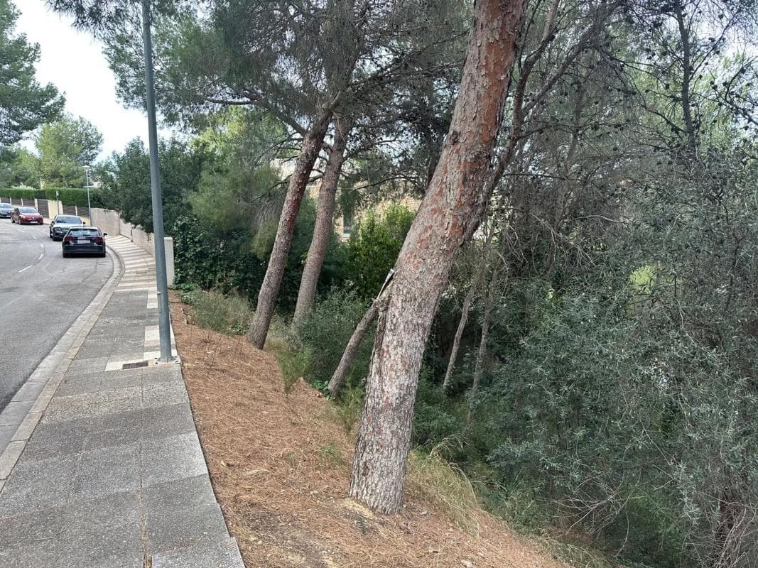 Terreno en venta en Chiva, Valencia photo 3