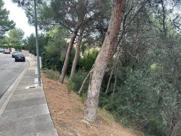 Terreno en calle 19, 3 photo 3
