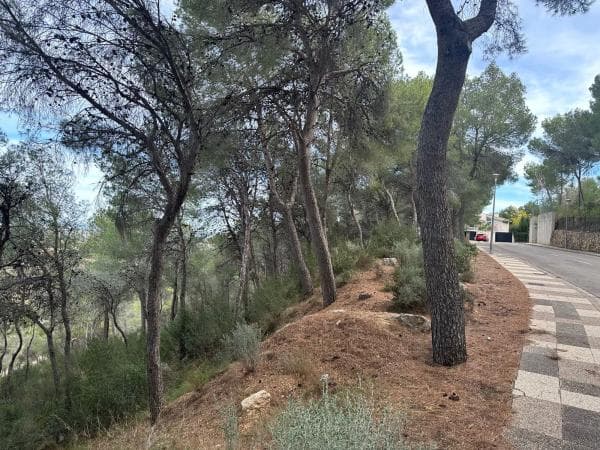 Terreno en calle 19, 3 photo 4