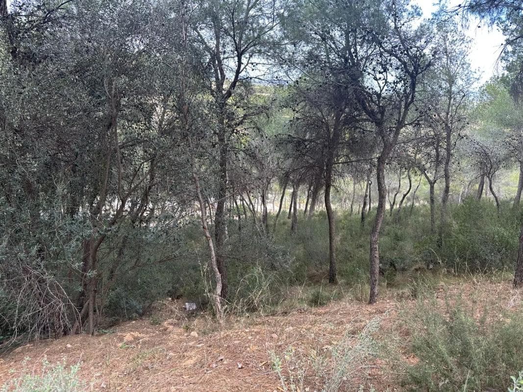 Terreno en venta en Chiva, Valencia photo 5
