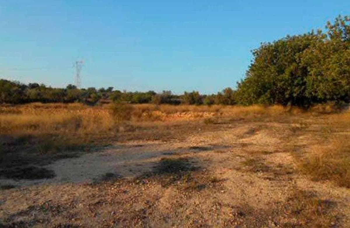 Property photo 4