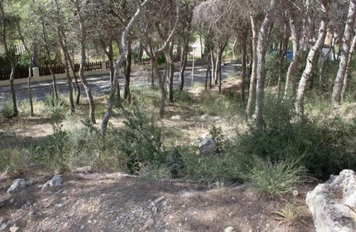 Property photo 5