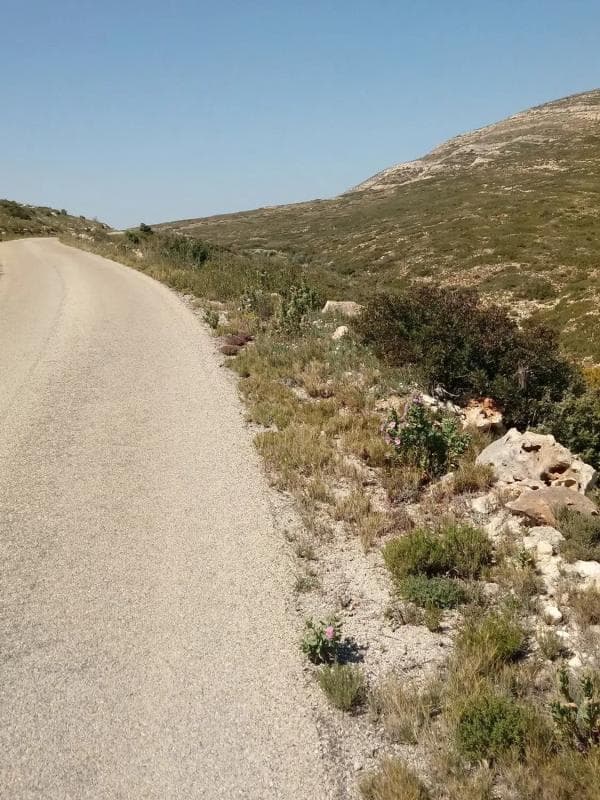Terreno en venta en Dos Aguas, Valencia photo 2