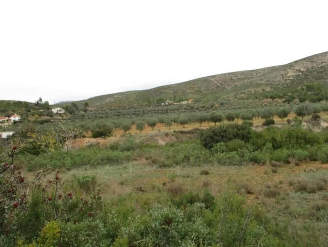 Property photo 4