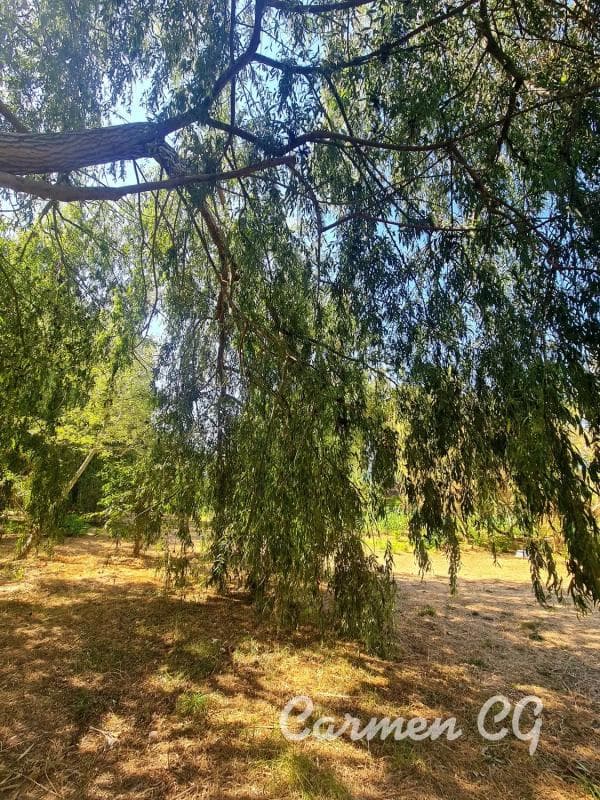 Terreno en venta en Paterna, Valencia photo 4
