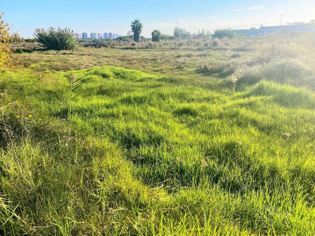 Terreno en venta en Massalfassar, Valencia photo 4