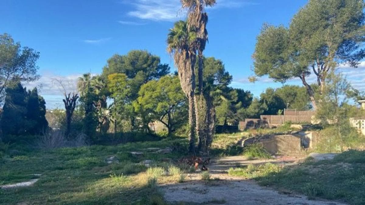 Terreno en venta en Rocafort, Valencia photo 5
