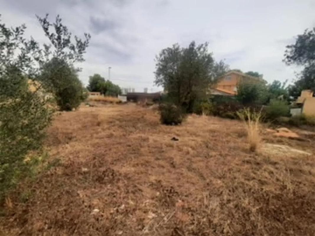 Propiedades en venta y alquiler en España photo 2