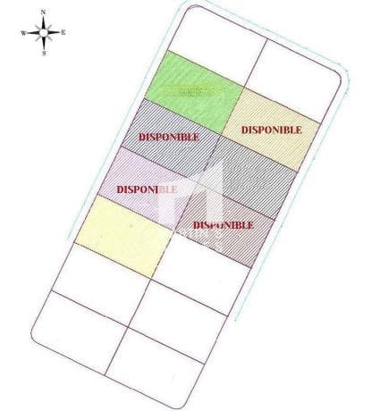 Product photo 1