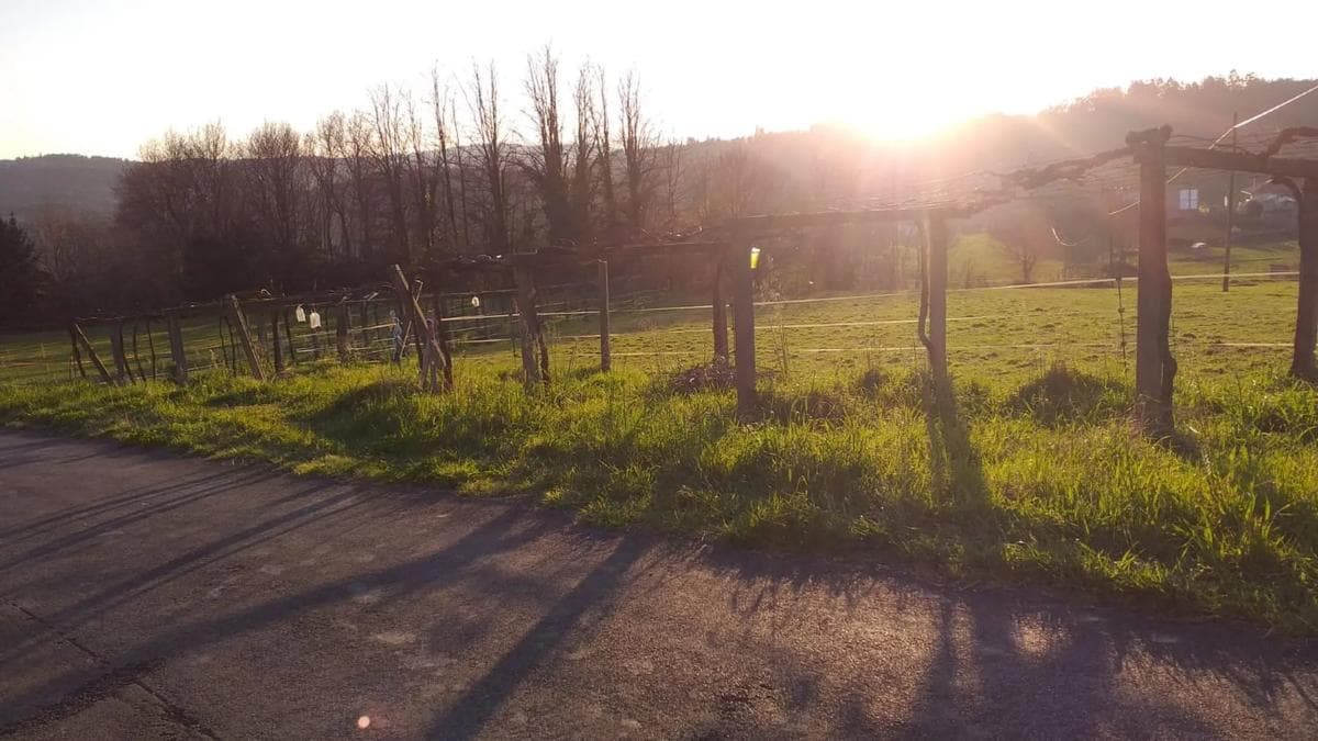 Terreno en venta en A Estrada, Pontevedra photo 3