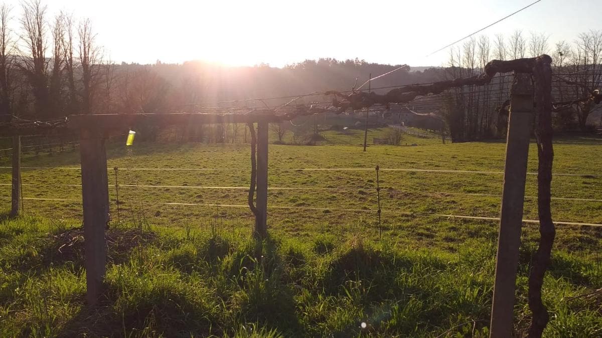 Terreno en venta en A Estrada, Pontevedra photo 4