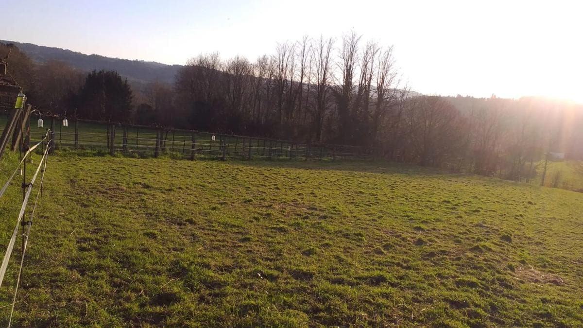 Terreno en venta en A Estrada, Pontevedra photo 5