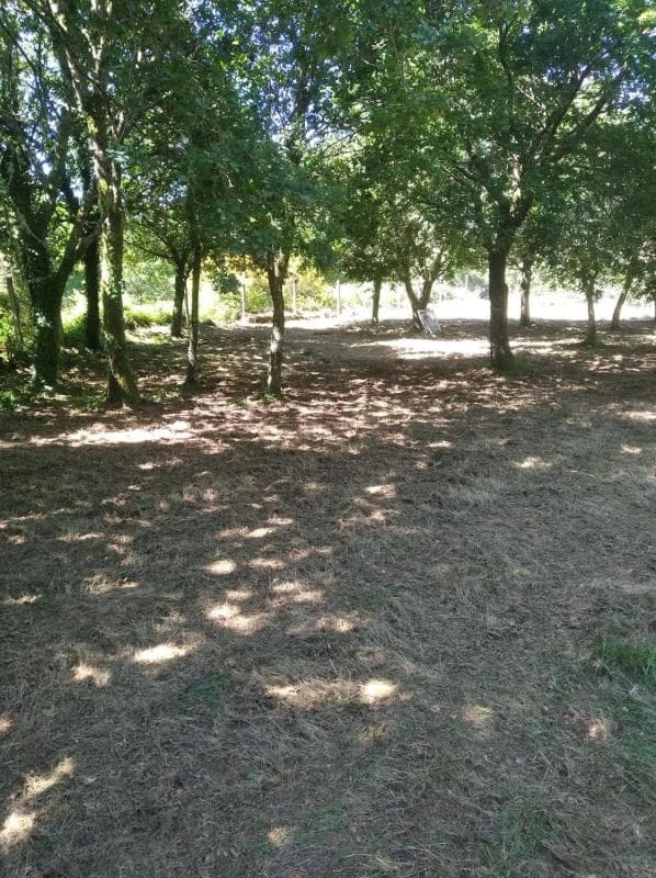 Terreno en venta en A Estrada, Pontevedra photo 3