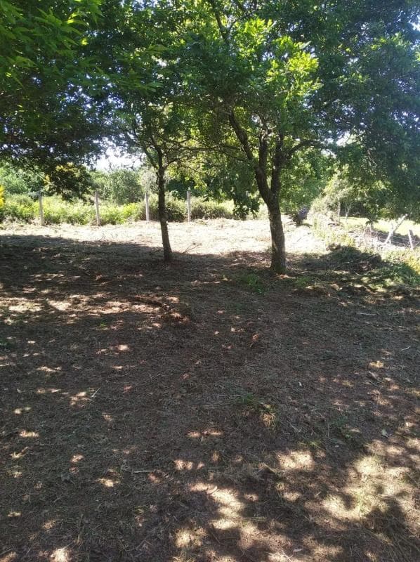 Terreno en venta en A Estrada, Pontevedra photo 4