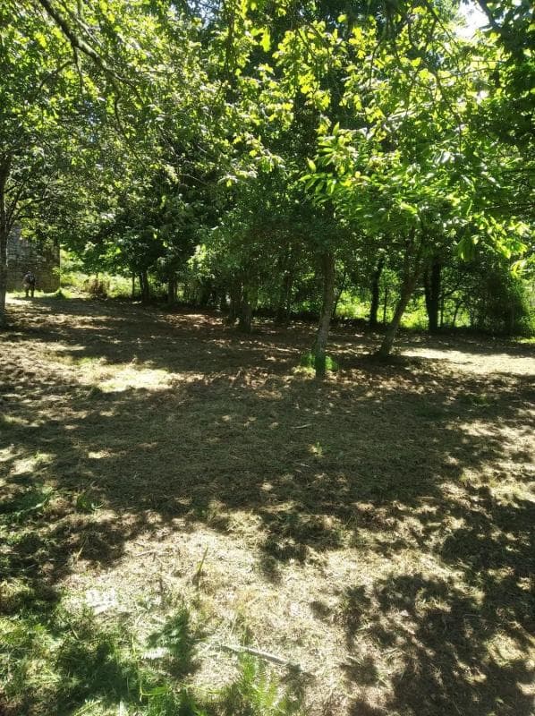 Terreno en venta en A Estrada, Pontevedra photo 5