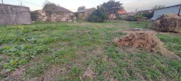 Terreno en Tomiño photo 4