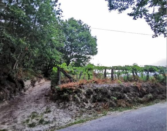 Terreno en Lugar Cotarel, 3 photo 3