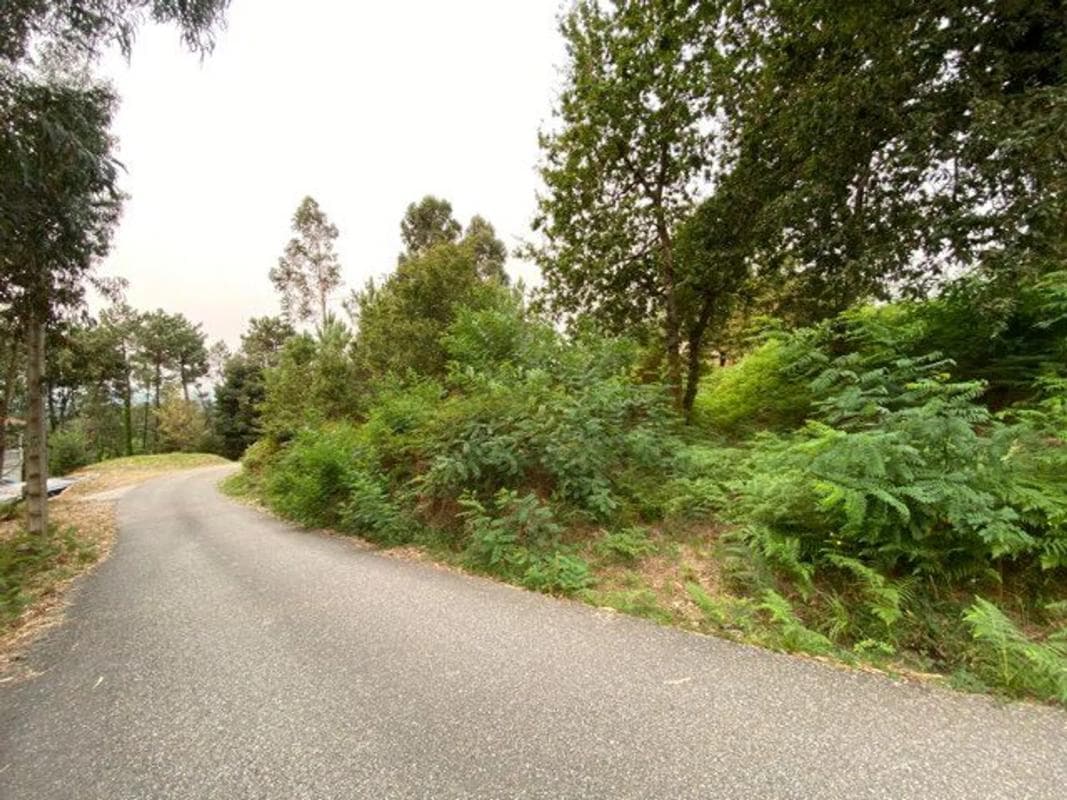 Terreno en venta en Tui, Pontevedra photo 2