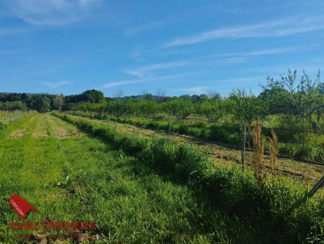 Terreno en venta en O Rosal, Pontevedra photo 3
