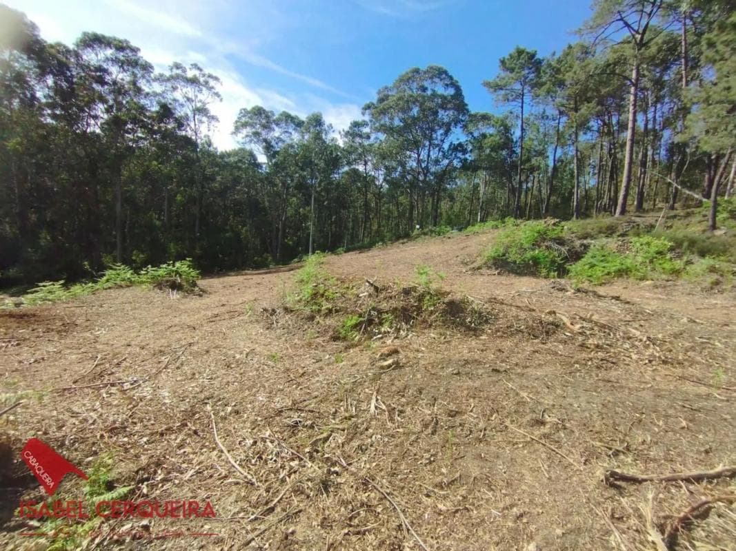 Terreno en venta en O Rosal, Pontevedra photo 5