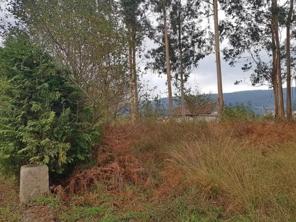 Terreno en Tomiño photo 4