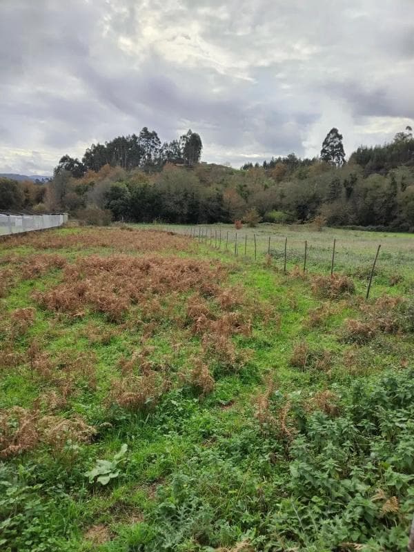 Terreno en venta en Caldas de Reis, Pontevedra photo 4