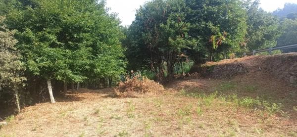 Terreno en Lugar de Valeixe, 141 Polgono photo 1