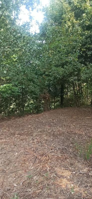 Terreno en venta en A Cañiza, Pontevedra photo 2