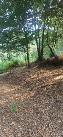 Terreno en Lugar de Valeixe, 141 Polgono thumbnail 2