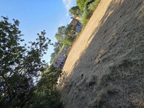 Terreno en calle Briabi, 1 thumbnail 1
