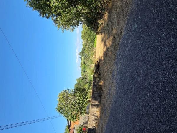 Terreno en calle Briabi, 1 photo 4