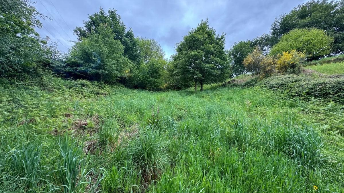 Terreno en venta en Fornelos, Pontevedra photo 4