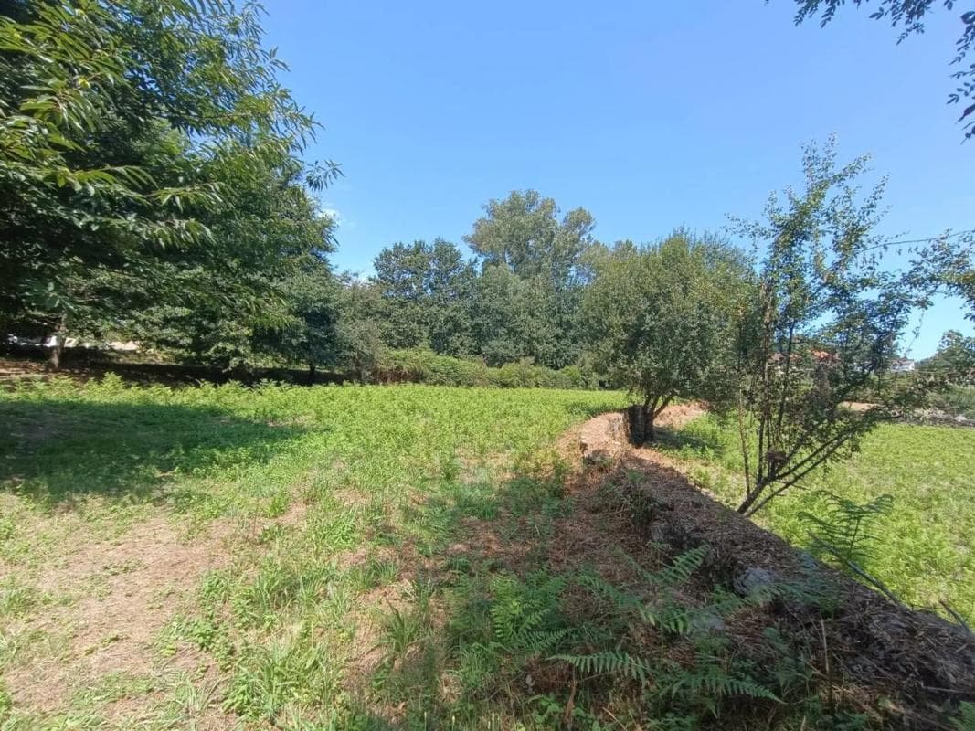 Terreno en venta en Mondariz, Pontevedra photo 3