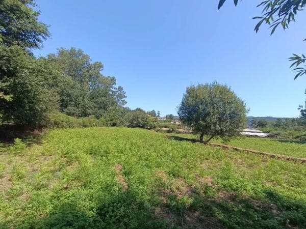 Terreno en Barro Carballal photo 4