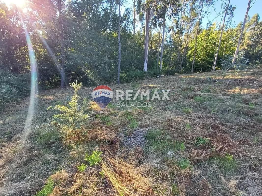Terreno en venta en A Cañiza, Pontevedra photo 2