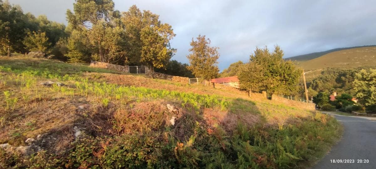 Terreno en venta en A Cañiza, Pontevedra photo 2